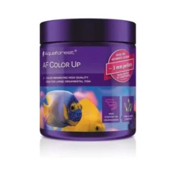 AquaForest Colour Up