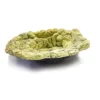 Pro Rep Extra Large Jungle Rock Pool