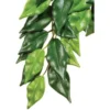 Exo Terra Ficus Silk Jungle Plant Large