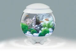 BiOrb HALO 15L White Aquarium With Multi Colour Remote 2020.