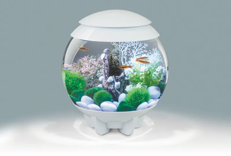 BiOrb HALO 15L White Aquarium With Multi Colour Remote 2020. 1 BiOrb HALO 15L White Aquarium With Multi Colour Remote 2020.