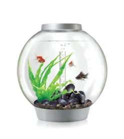 BiOrb Classic 60 LitreAquarium In Black With Multi Colour Remote Contr