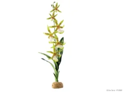 Exo Terra Terrarium Rainforest Spider Orchid Artificial Plant