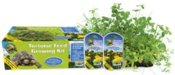 Pro Rep Tortoise Food Growing Kit