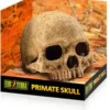 Exo Terra Primate Skull Vivarium Decoration
