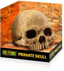 Exo Terra Primate Skull Vivarium Decoration