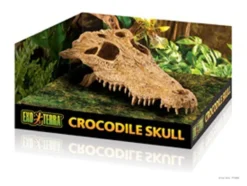 Exo Terra Crocodile Skull Vivarium Decoration