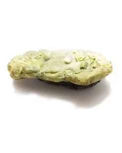 Pro Rep Medium Jungle Rock Pool