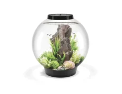 BiOrb Classic 60 Litre Aquarium Black With Multi Colour Remote 2020.