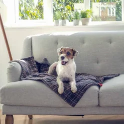 Smart Garden Zoon Plaid Comforter Blanket For Dogs And Cats - 70 X 100cm