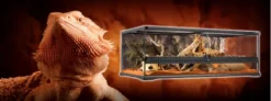Exo Terra Bearded Dragon Kit