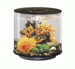 BiOrb Tube 15L In Black With Multi Colour Remote 2020.