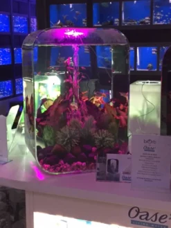 BiOrb LIFE 60L - Clear Aquarium With Multi Colour Remote 2020.