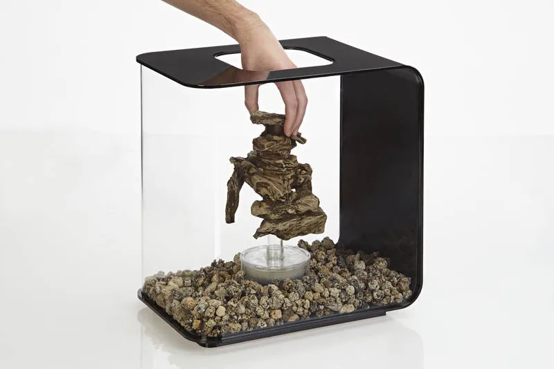 BiOrb Seahorses On Coral Black Medium 2 BiOrb Seahorses On Coral Black Medium - Image 2