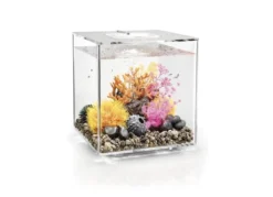BiOrb CUBE 30L Clear With Multi-Colour Remote 2020.