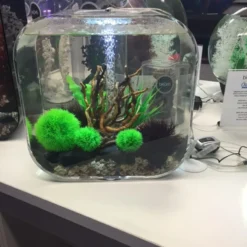 BiOrb LIFE 30L - Clear Aquarium With Multi Colour Remote 2020.