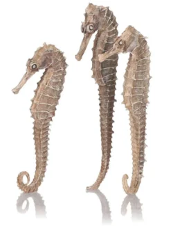 BiOrb Seahorse 3 Pack Natural