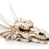 Giganterra Resin Decor Dragon Skull - 28.5 X 21.5 X 19.5 CM