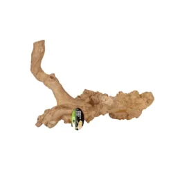 Pro Rep Extra Large Java Reptile Branch