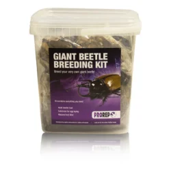 ProRep Giant Chafer Beetle Rearing Kit