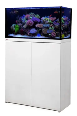 Octo Lux Classic 90 White -Fish Aquarium Supplies Store lux white color