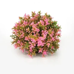 BiOrb Pink Topiary Ball