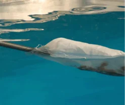 Oase Pondovac 4. -Fish Aquarium Supplies Store pondovac 4 new 4