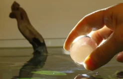 Evolution Aqua Pure Aquarium Bomb