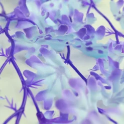 BiOrb Medium Purple Kelp X2 Aquarium Decoration -Fish Aquarium Supplies Store purple kelp 2 1