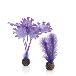 BiOrb Small Purple Kelp X2 Aquarium Decorations -Fish Aquarium Supplies Store purple kelp 3