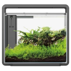 Superfish Home 45 Black Aquarium