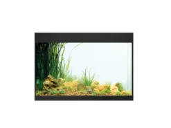 Oase StyleLine 175 Aquarium Black -Fish Aquarium Supplies Store tank12