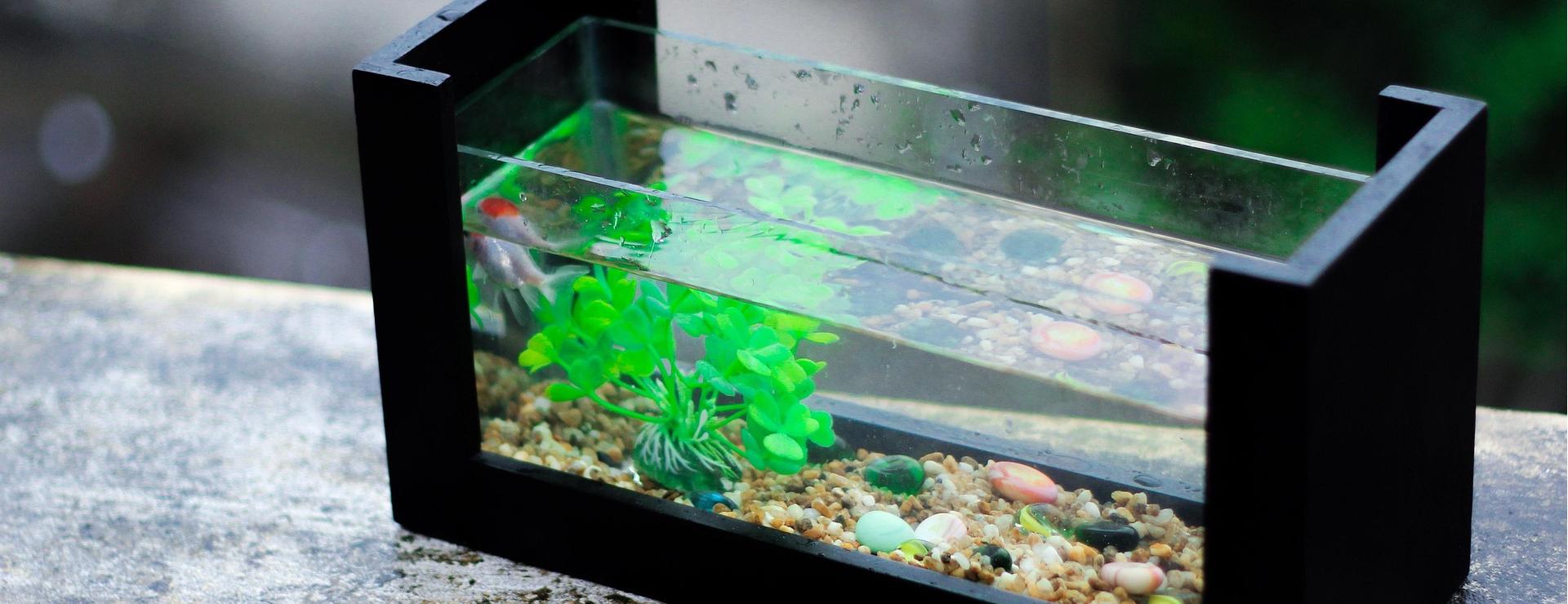 Fish Aquarium Supplies Store -Fish Aquarium Supplies Store fresh 980406 1920